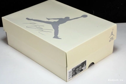 SB Nike Air Jordan x 4 1005